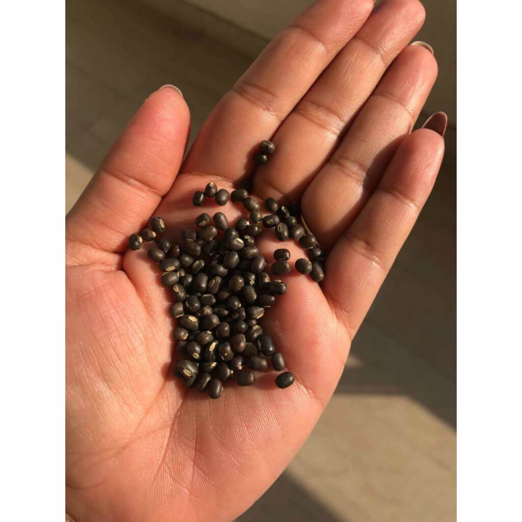 Ulei de corp revitalizant Balaayah cu Fasole Neagră Indiană (Balaayah Black Gram Body Booster)